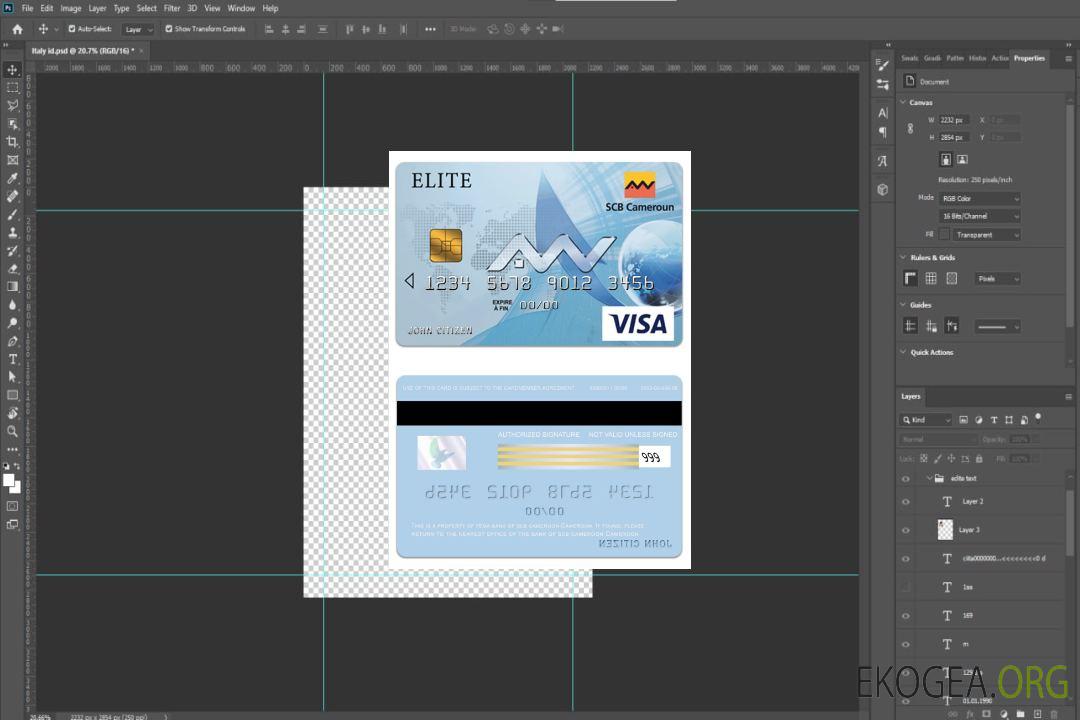 Carte visa élite bancaire SCB du Cameroun template